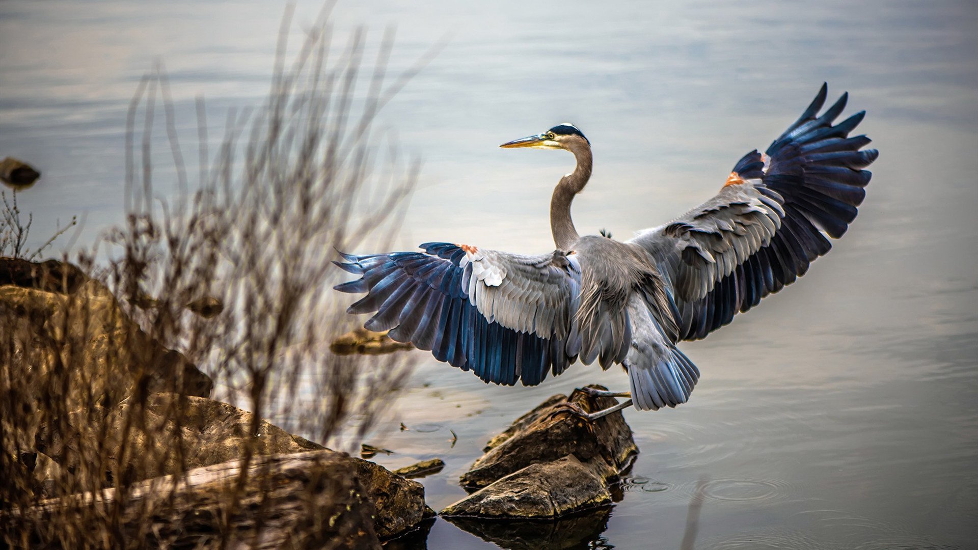 “球迷热议:支持的球队最动人瞬间”,支持球队的标语