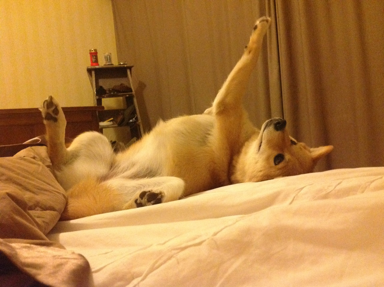 爱游戏体育APP下载-“精品助攻：让人叹为观止的精彩传球”，足球精彩传球