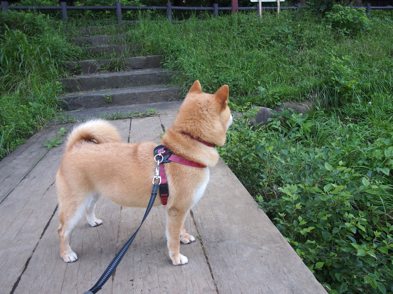 爱游戏电竞官网-“西甲焦点演出：明星对决引爆现场气氛”，西甲现场观众