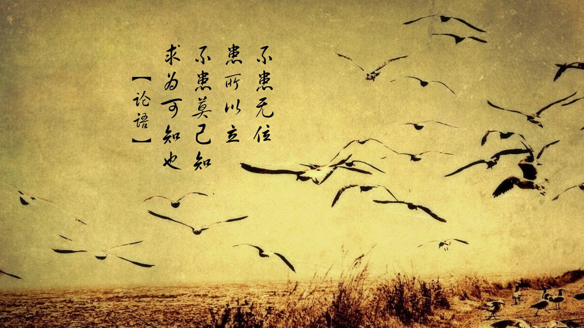 “足球+科技”的创新创业大赛火热展开,引领行业新潮流,关于足球的创业