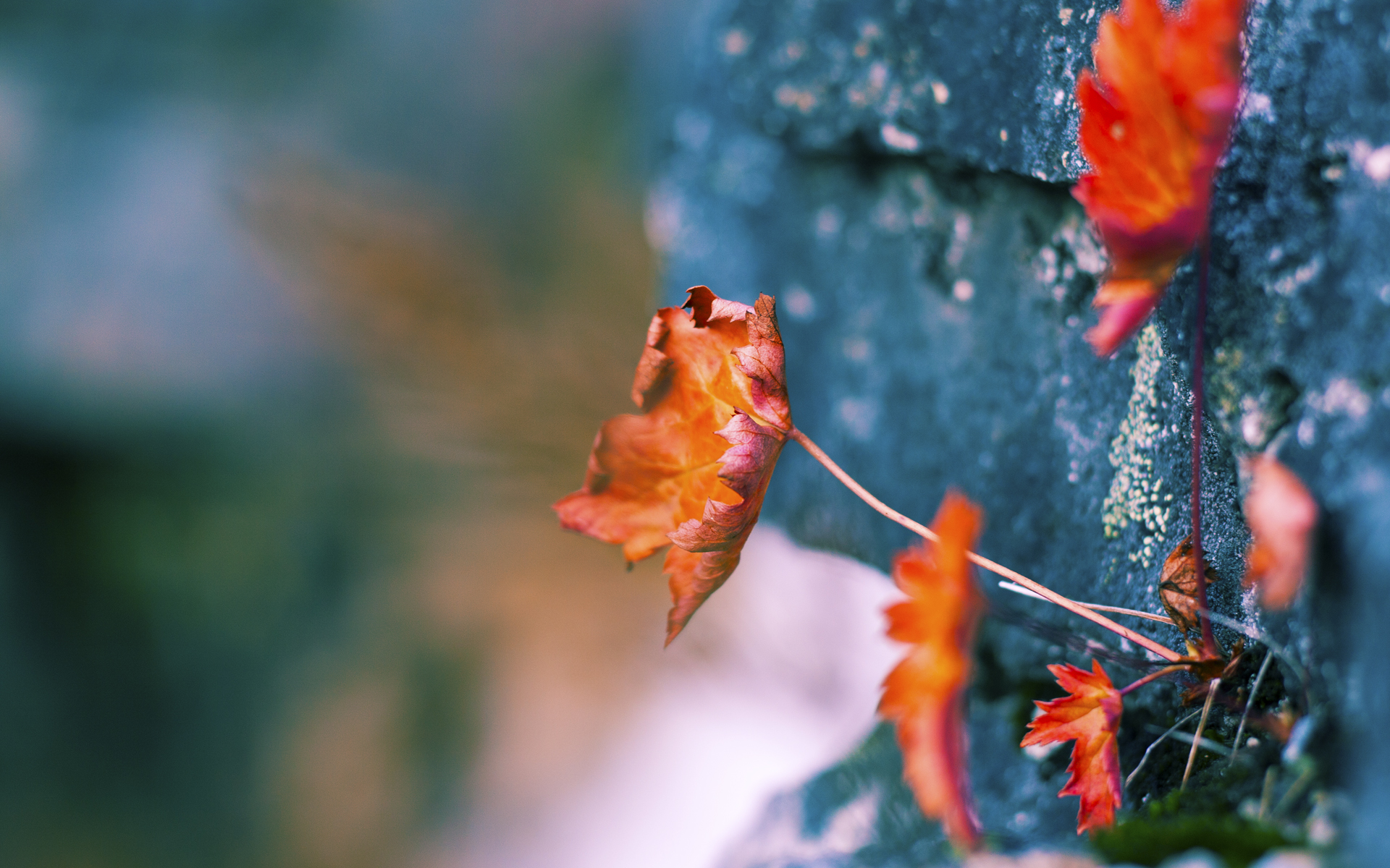 中超新政实施:引援限薪,鼓励青训出头,中超引援限制