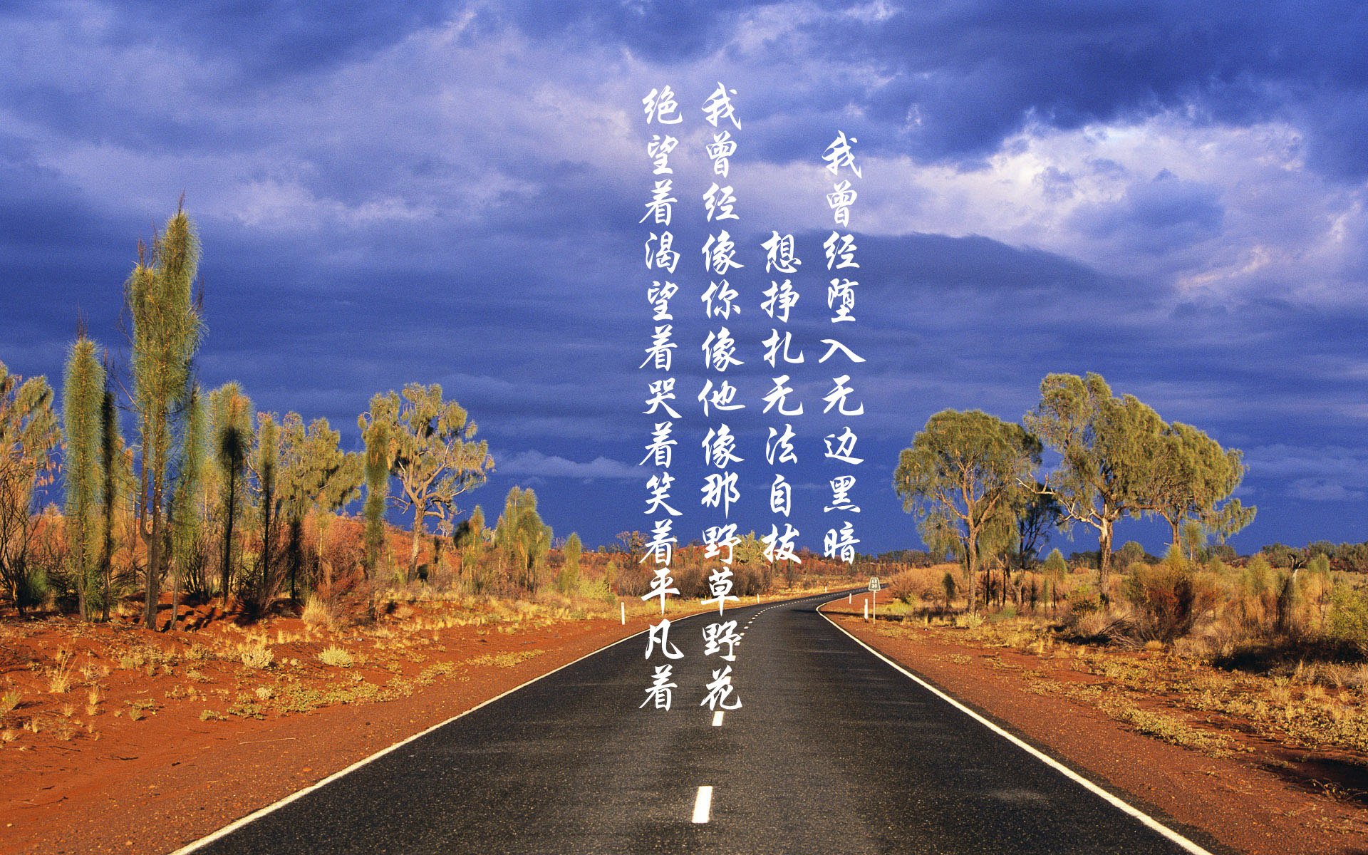 最佳比赛节奏:那些“永不落幕”的欧冠夜晚,欧冠表演