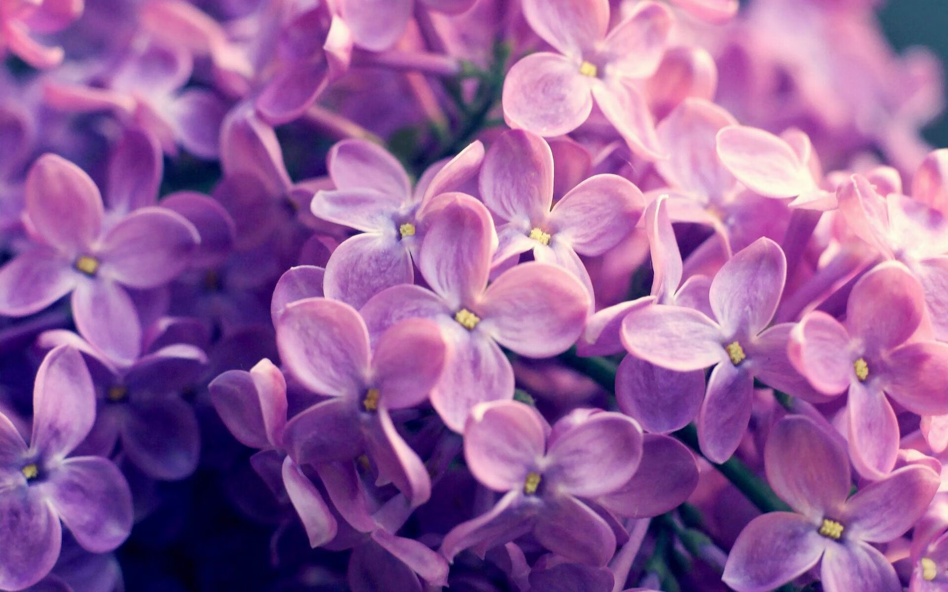 未来策略:全球化、数字化引领联盟变革,2021全球数字化转型