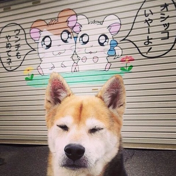 AIYOUXI.COM-特色篮球品牌走出国门，打造具有中国元素的体育名片，篮球体育品牌排行榜