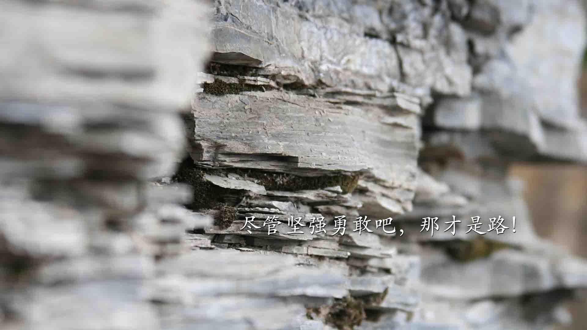 球队成长路径:从降级边缘到争冠热门,球队怎么样