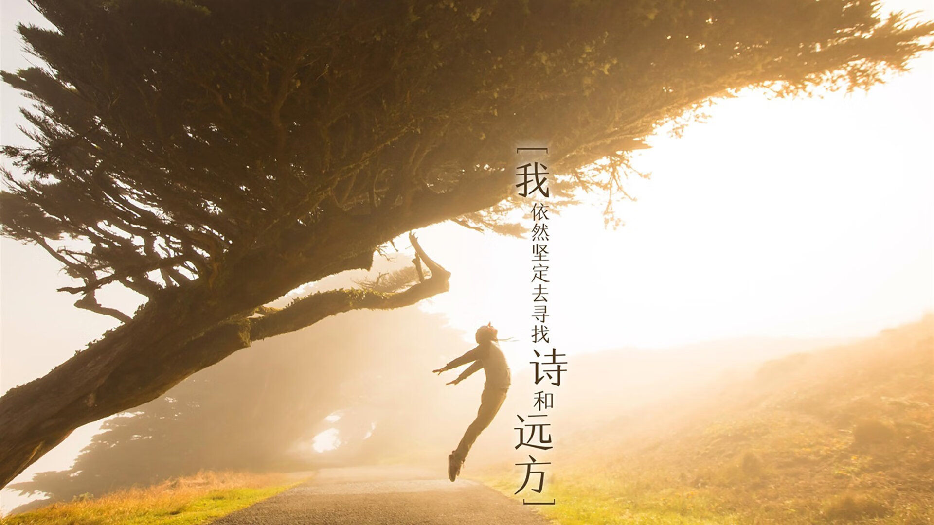 穿越火线 战队实力大洗牌,穿越火线所有战队