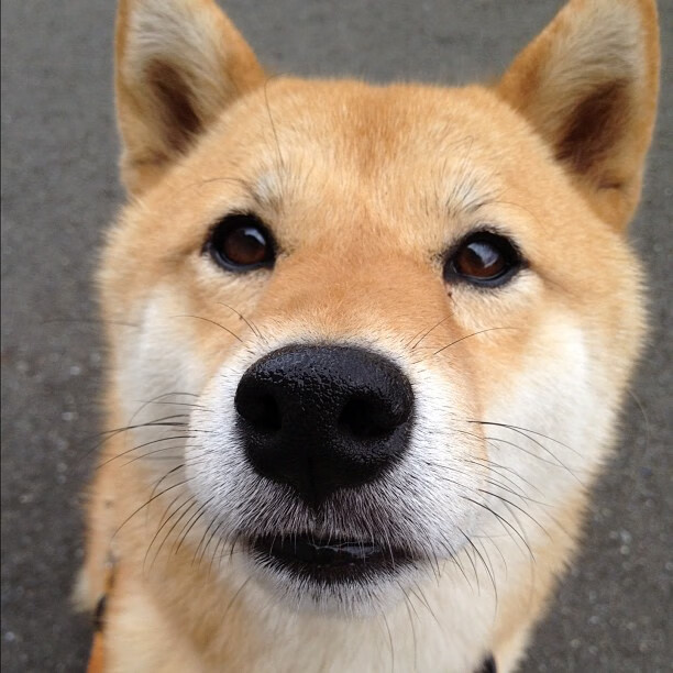 CBA球队阵容深度优化方案,cba篮球队伍