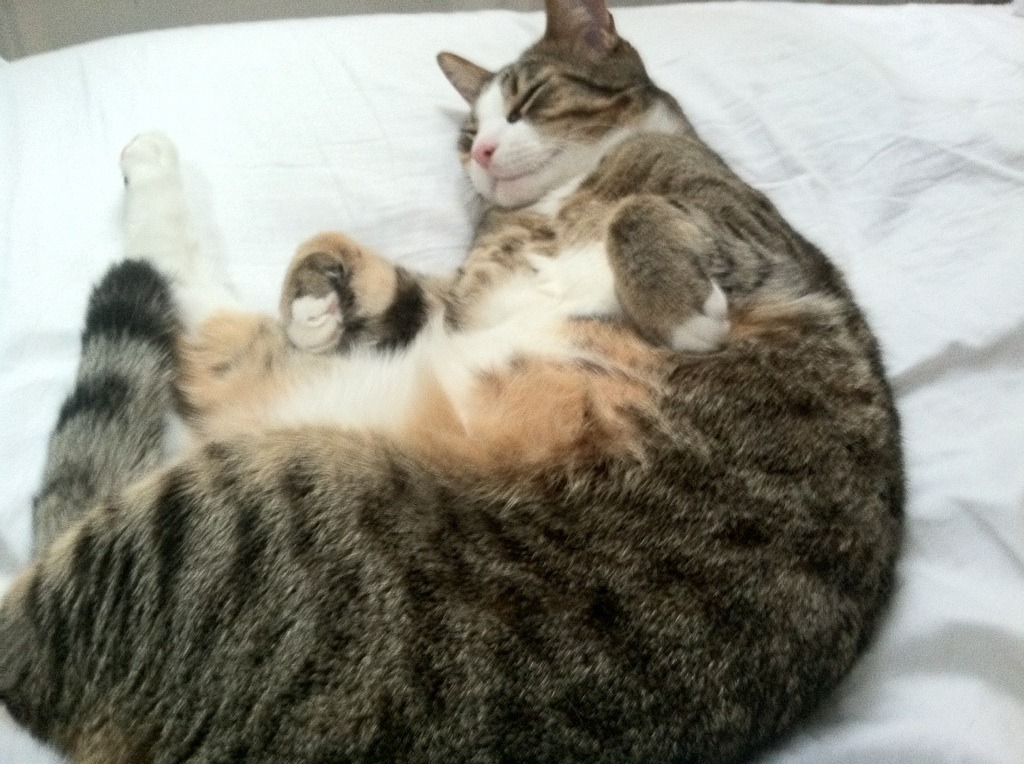 NBA季后赛热火淘汰雄鹿，2020nba热火淘汰雄鹿