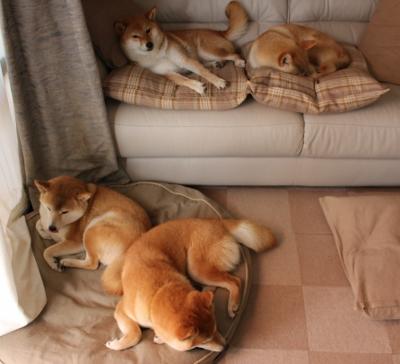 中国足球俱乐部合作模式创新,我国足球俱乐部的基本模式