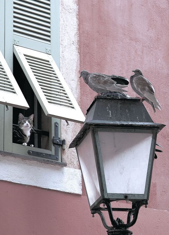 呼啸之城取胜,为了英超联赛排名前进而战,英超宣传片主题曲fire