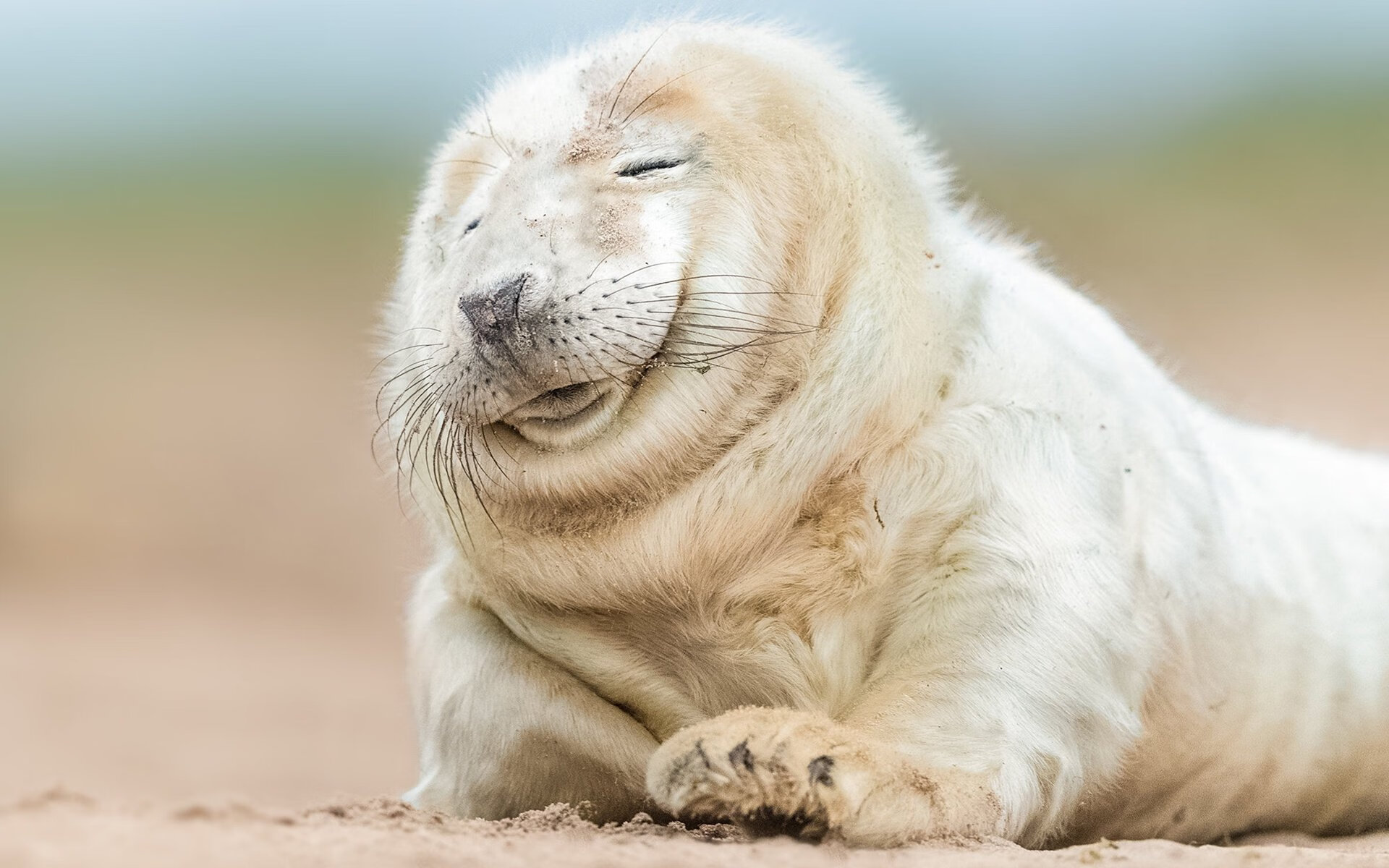 塞尔维亚篮球战术调整受关注，塞尔维亚的篮球