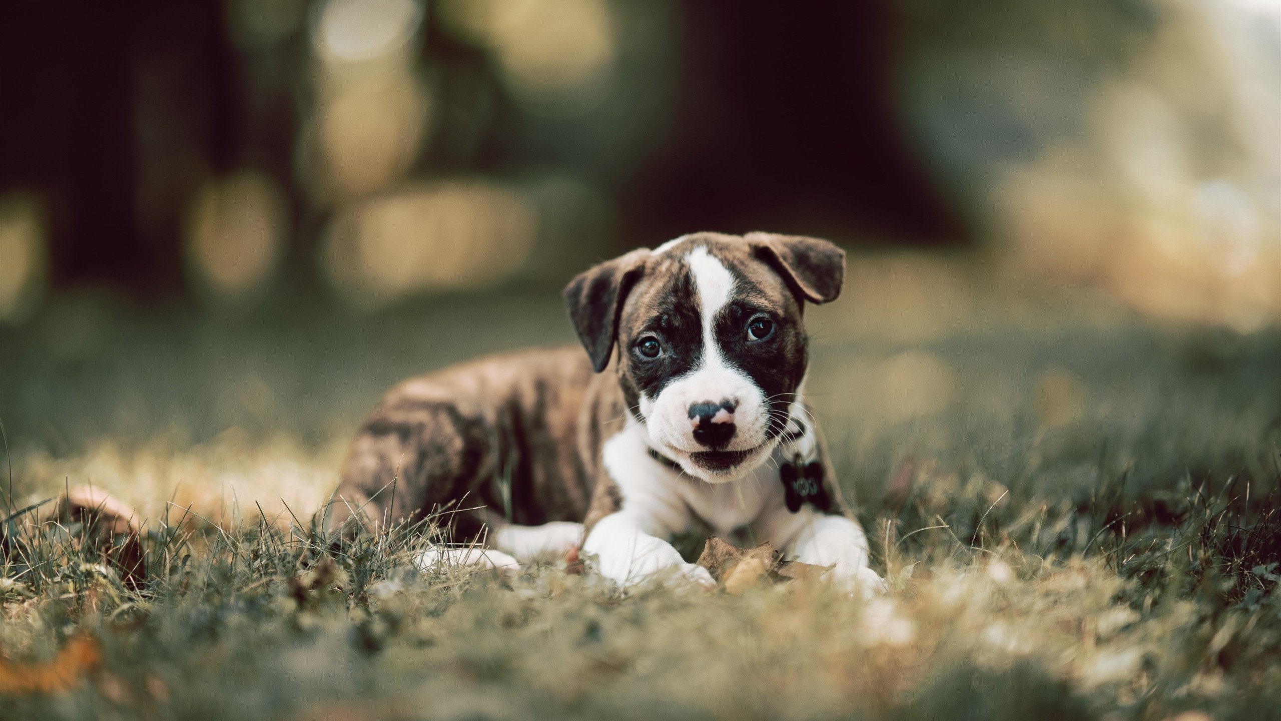 爱游戏体育平台-巴西男足在预选赛中失去奥运资格，巴西男足在预选赛中失去奥运资格了吗