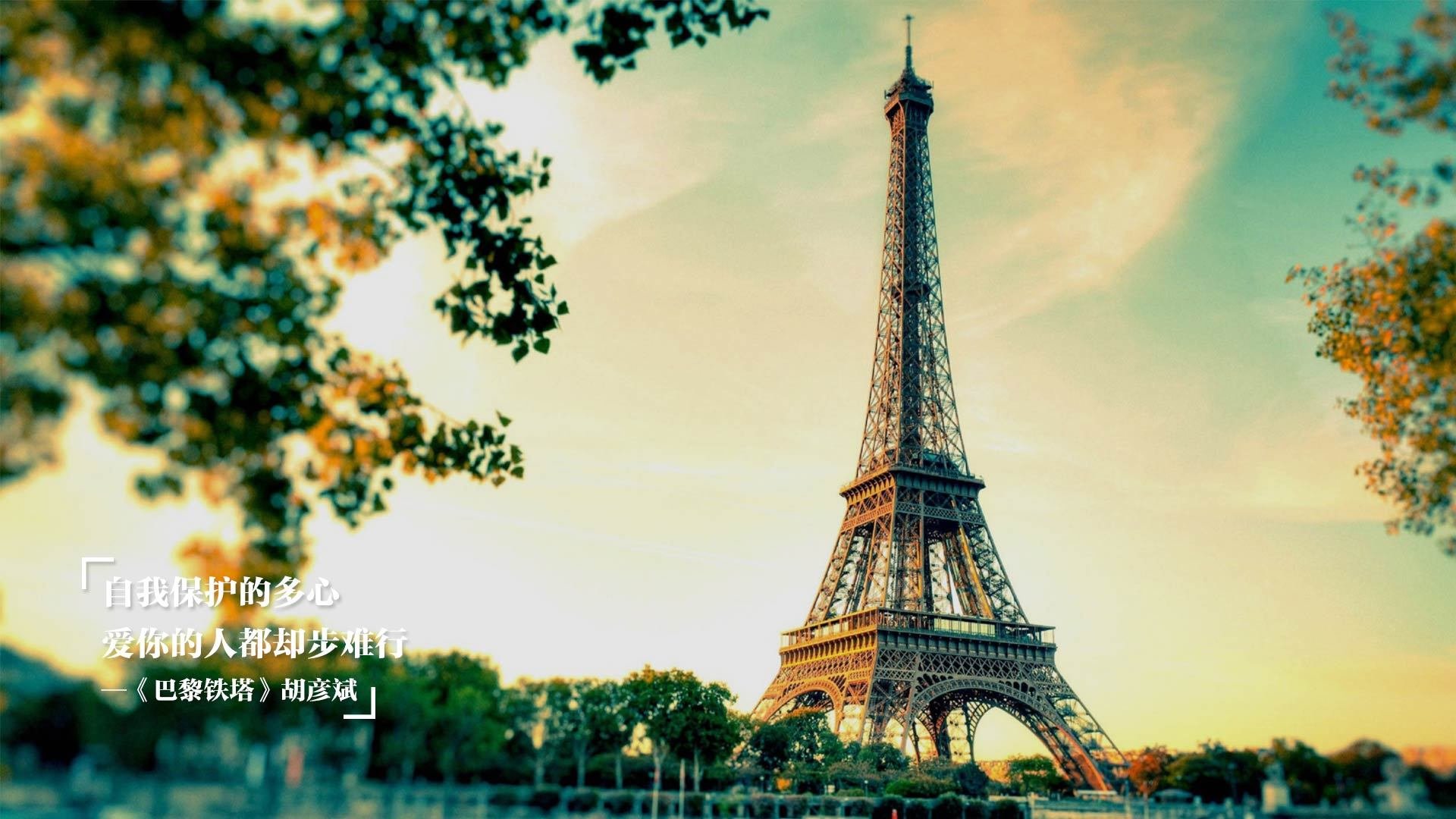 爱游戏体育-沙特球队连续保持不败，沙特队战绩