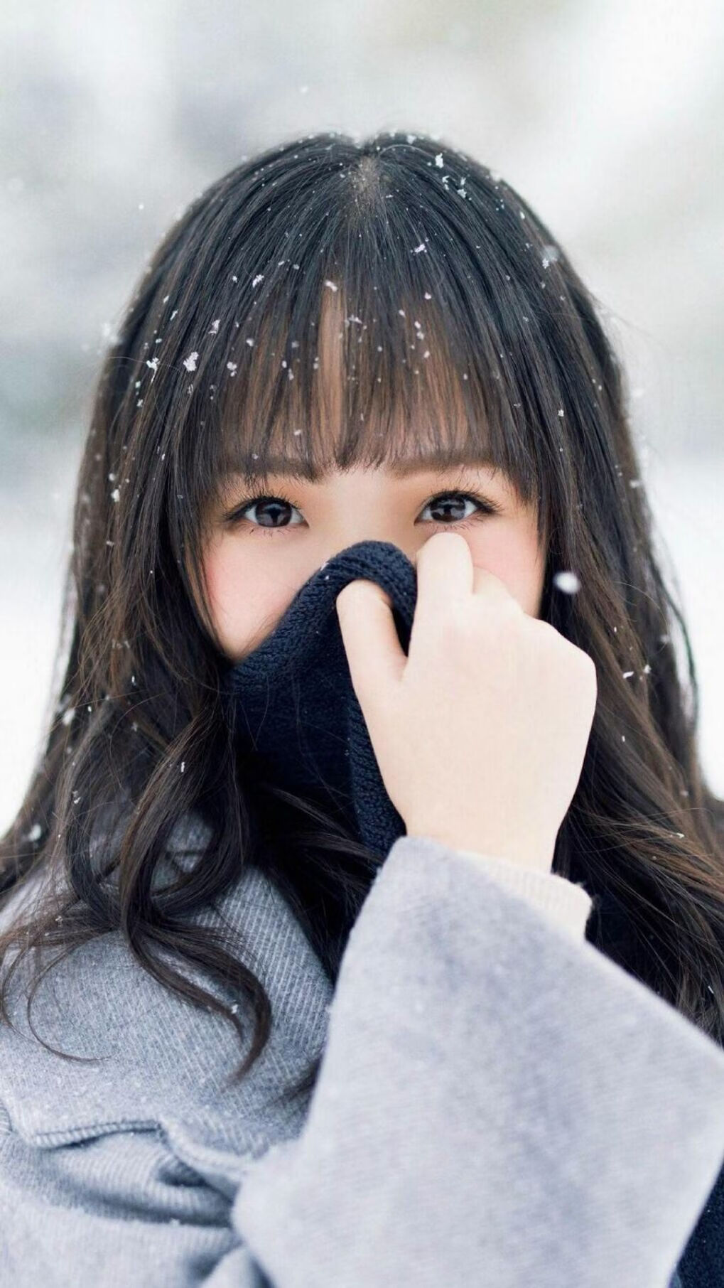 球迷是否能够参与到俱乐部议事机制中,球迷协会怎么成立