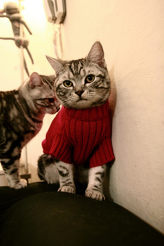 雷霆翻盘热火,抢七大战中亚历山大锁死对手,雷霆的亚历山大有潜力吗