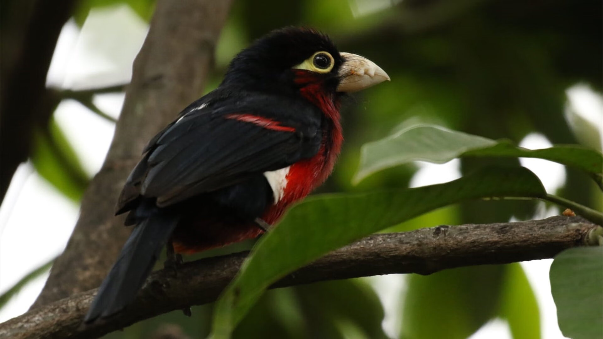 国足各阶段比赛临场执行数据对照,国足比赛场次