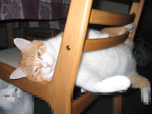 未来联赛布局:东南亚、非洲》等新兴市场崛起计划