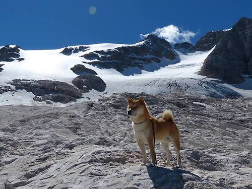 英超比赛中裁判语调与非语言行为对球员情绪波动的影响，用语言或行为对裁判员