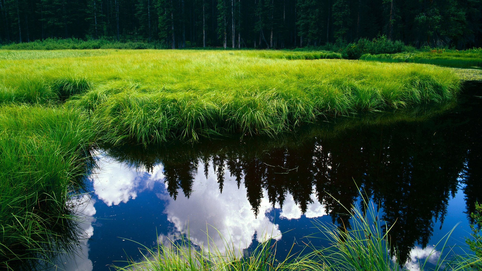 英超裁判语义模型增强多语言环境判罚准确率,2021赛季英超裁判