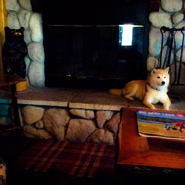 Chinese Taipei团队未来规划:构建世界级竞技平台,china taipei