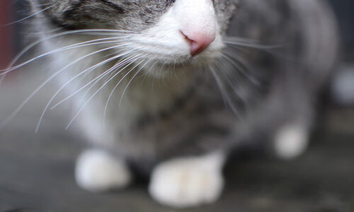 爱游戏体育app-中国三人篮球男队提升持球突破终结率，中国三人篮球男队战绩