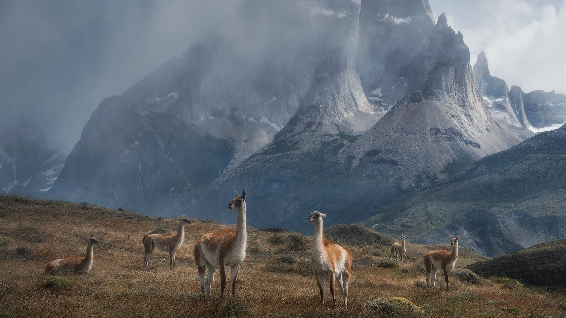 爱游戏电竞官网-亚冠联赛中国足球晋级 球员配合默契十足，亚冠联赛中国队
