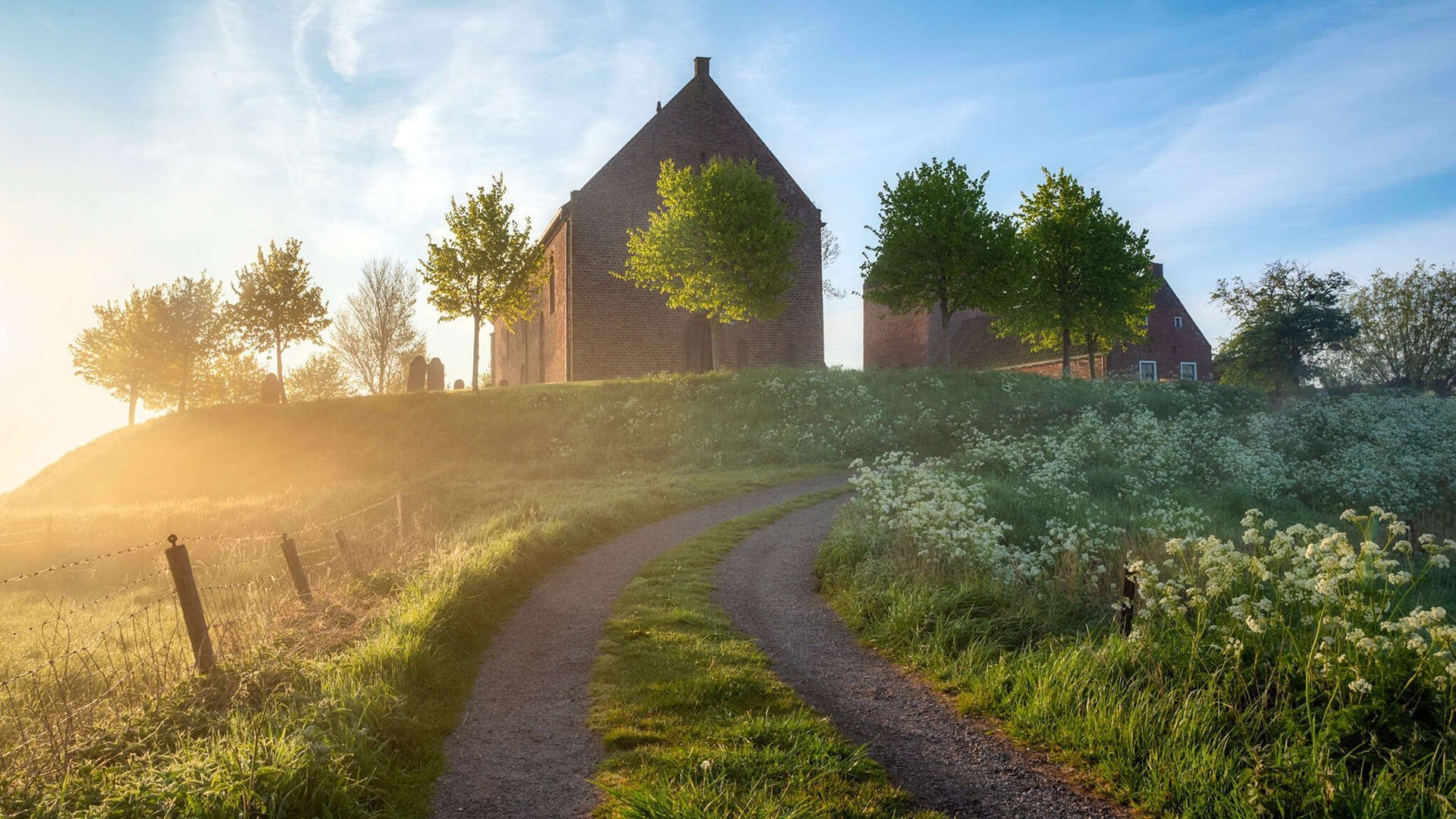 爱游戏电竞官网-浙江雄狮教练组战术调整助力球队夺冠，浙江雄狮泵业科技有限公司