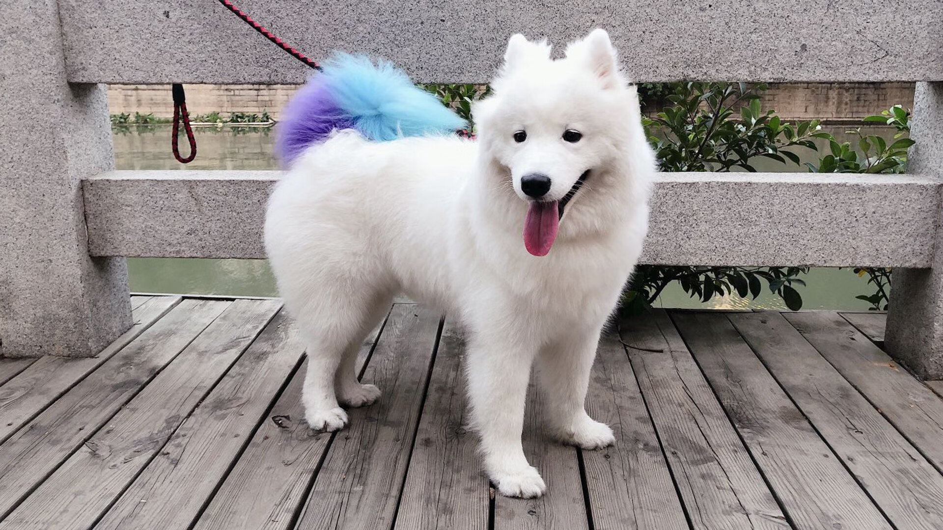 CBA球队完善后勤保障体系保障训练和比赛顺利进行,篮球赛后勤部工作