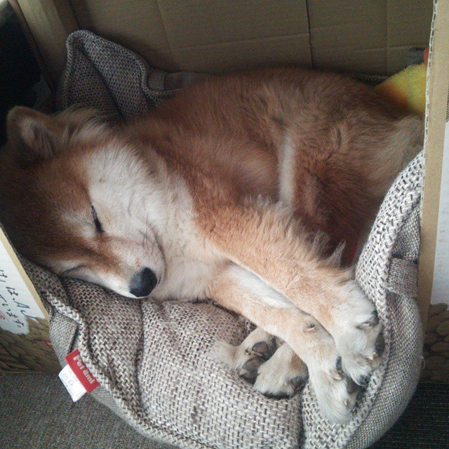 爱游戏在线登录入口-库里在训练中加强身体对抗备战季后赛，库里训练有多刻苦