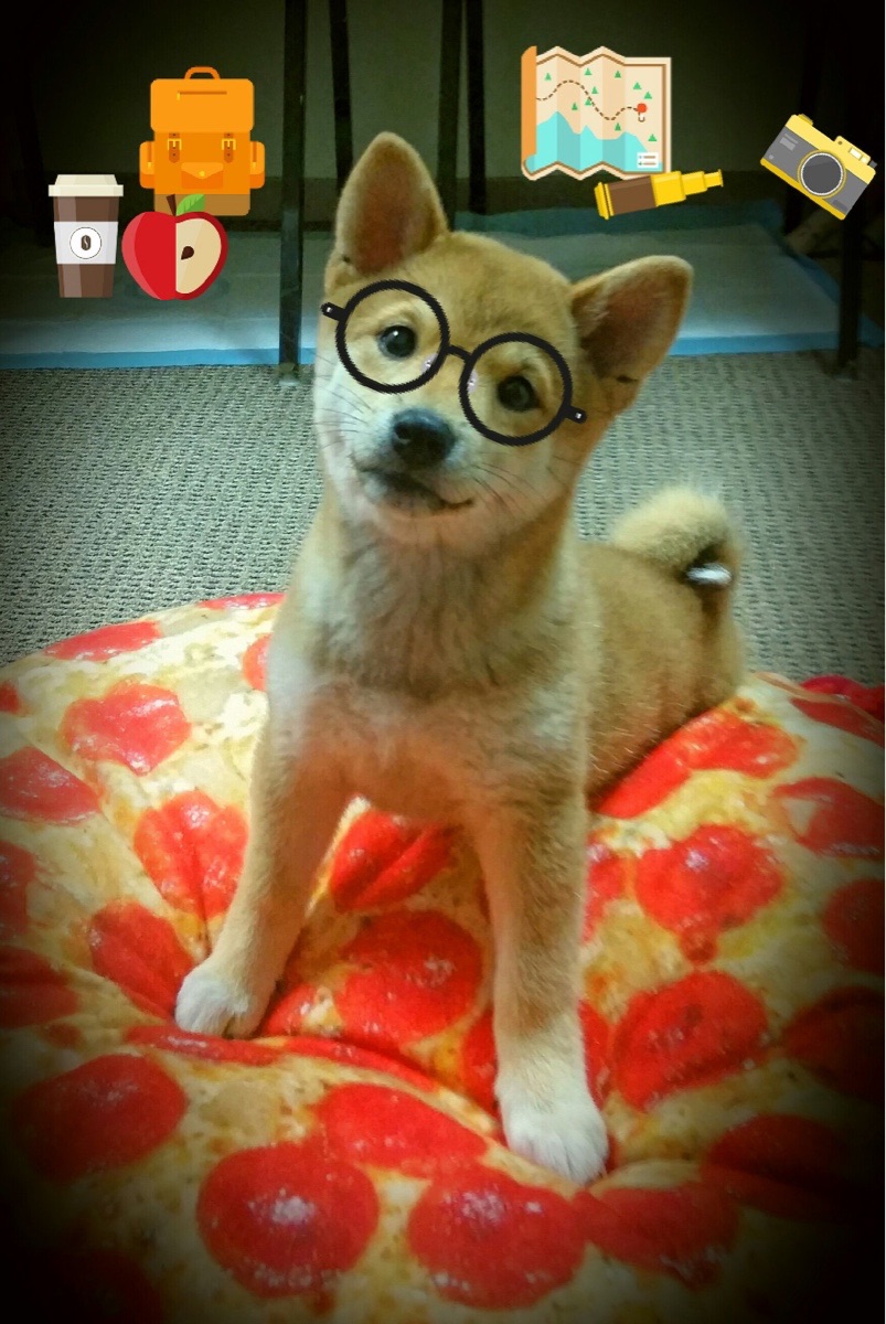 湖人主帅称赞浓眉篮下威慑力十足,湖人队浓眉是谁