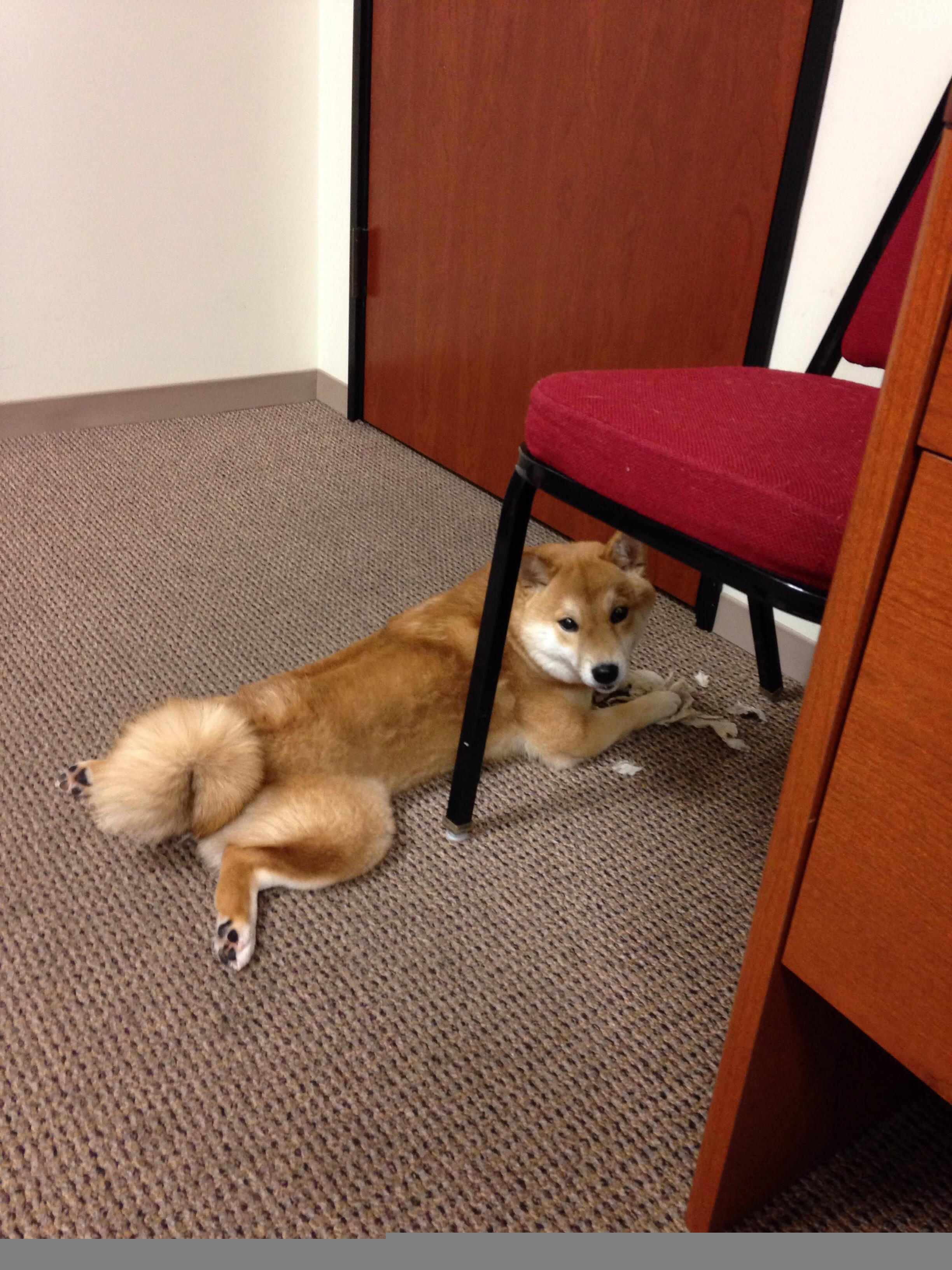 王楚钦主导比赛节奏稳中取胜,王楚钦什么水平