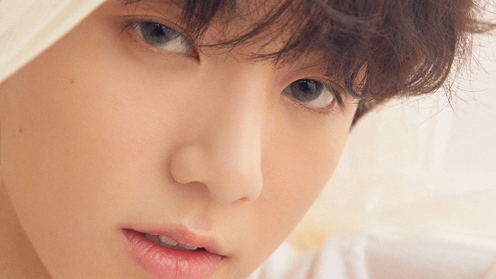 自由泳接力波兰团队协作出色,自由泳接力中国队