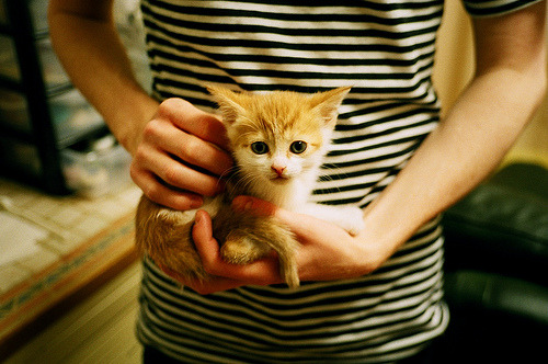 训练营内部赛频繁展开模拟真实对抗检验球员综合能力，训练模拟对抗系统