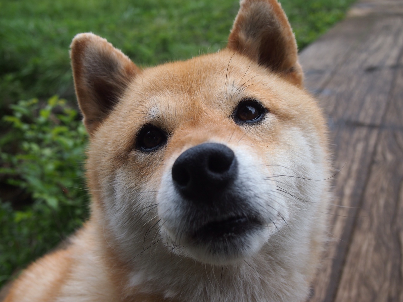 马刺在球员宿舍设置阅读空间鼓励学习,马刺的球馆