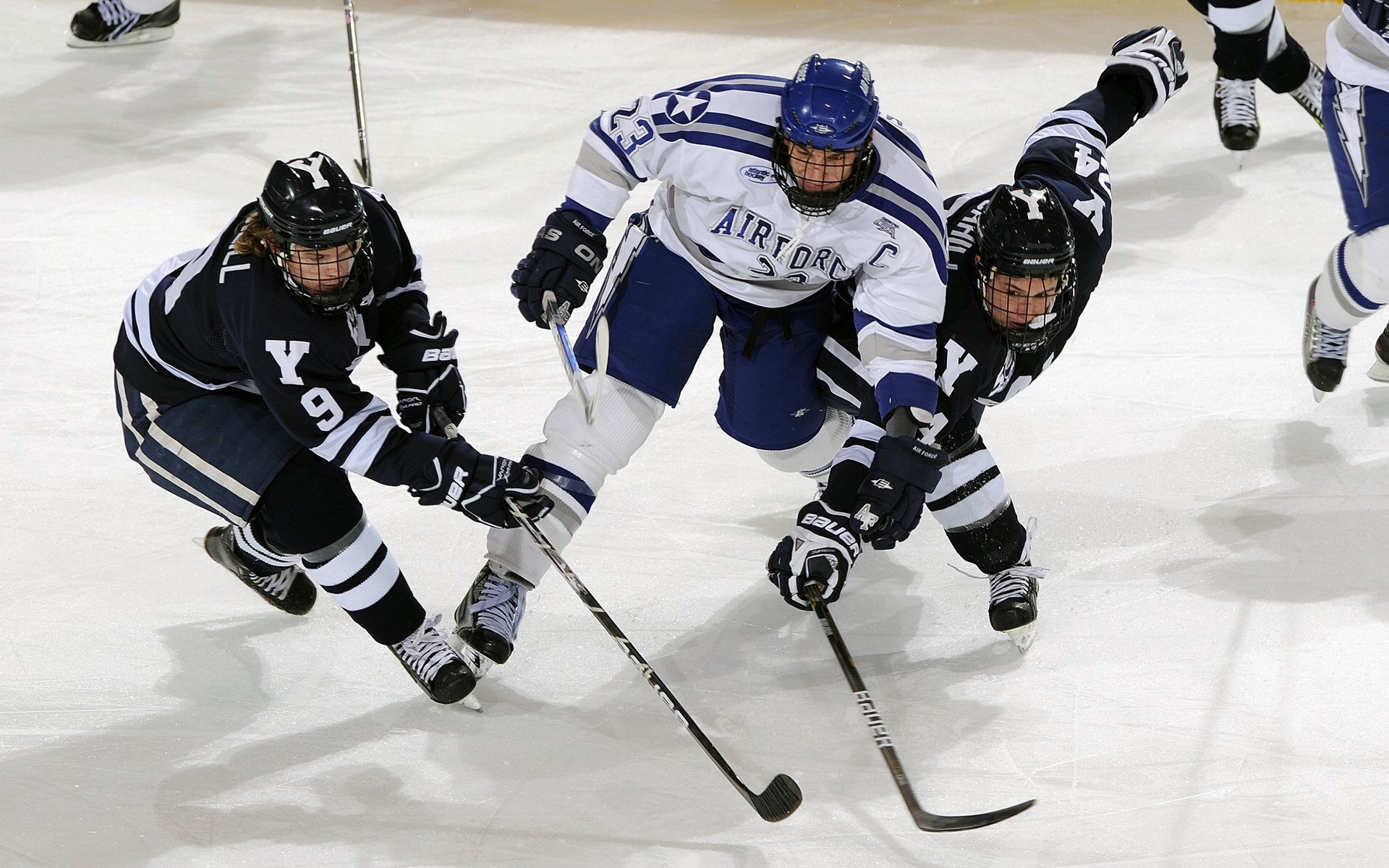 北京鸭积极引入年轻球员培养新生力量，北京鸭业有限公司